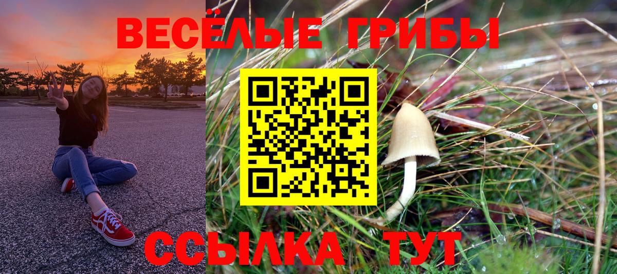 Галлюциногенные грибы MAGIC MUSHROOMS  Вход с VPN  Саранск 